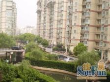 宝莲湖景园3室南朝向465.00万元/套出售