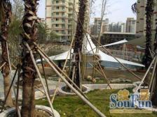 宝莲湖景园 3室1厅 东 南 北