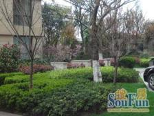 尽览黄浦江景与陆家嘴天际线,尊享都市繁华与自然美景