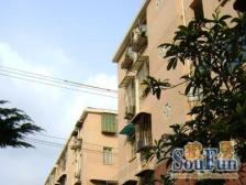 【New】边套大一房 可改两室 小区zui低价