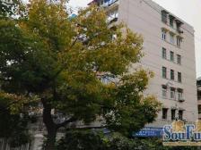 满三年,采光视野开阔,12号线,18号线