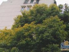 眉州路100弄小区2室东朝向290.00万元/套出售