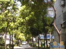 泰和新城3381弄 两房居家装修2000年房龄