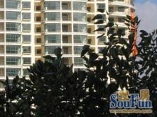 新天地朝南带阳台1室阳光刺眼有会所