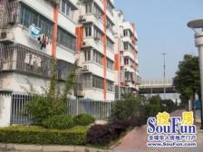 五号线+苏大家属区200年商品房+以改造