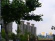 金沙丽晶苑二期实景图