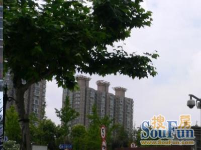 金沙丽晶苑二期实景图