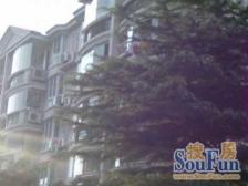 主卧朝南,环境优美,居家装修,诚意出售