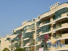 双秀南园 3室2厅 南