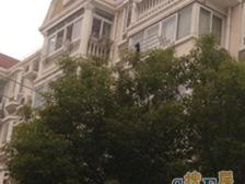 采光好,中间楼层,满五,业主诚意