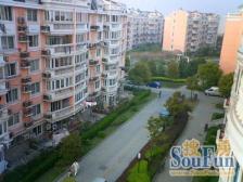 金杨·蝶恋园·4室·2厅