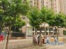 01年商品房 环境优美 中内环间 位置安静