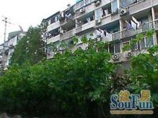 满五一梯两户边户双南带厅位置安静中间楼层看房方便