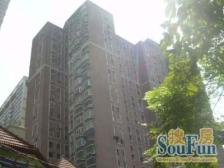 三林·南杨小区(新浦路)·1室·1厅