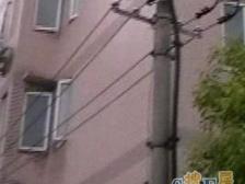 嘉泰花园新上楼王位置大三房,三开间朝南,中间楼层满五维一无税