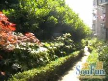 04年的商品房+近江湾镇地铁+逸仙路高架+迎驾新主看房