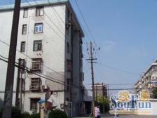 在暗处执着生长,终有一日馥郁传香