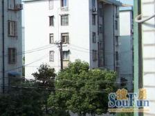 宝山十村 一楼带天井 房东自住