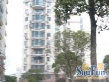 电梯房,小户型,小区中心位置,现代风格