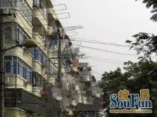 艾山新村 1室1厅 南