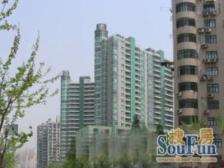 陆家嘴【滨江兰庭】南北通透双阳台,业主到价签字