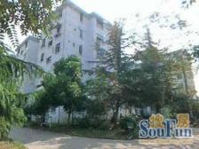 新出!院子30平+无违建 看房随时 产权清晰 房东诚意出售!