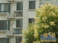 荣和苑2室南朝向420.00万元/套出售