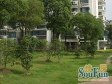 错层 两房两卫 楼层好 采光视野都好 得房率高