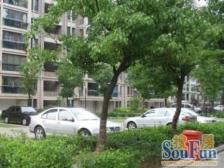 产权清晰 电梯房 入住快,新上房源