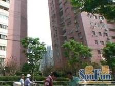 国贸花园 3室2厅 南