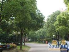 品质小区,环境优美,居家装修,诚意出售