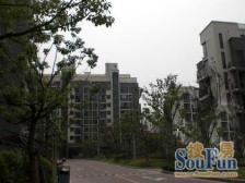 大华·大华**华府·2室·2厅