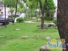 近地铁 无抵押,中间楼层,采光好 必看好房