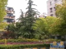 品质小区,小区中心位置,诚意出售,刚需好房