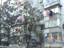 近地铁 产权清晰 精装 刚需上车 必看好房