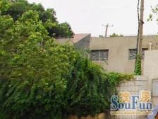 品质小区,环境优美,诚意出售,精装好房