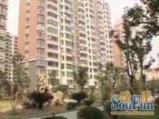 产权清晰 现场实勘,中间楼层 新上房源