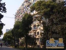 《精装修》《中间楼层》《地铁口》《配套齐全》