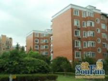 一期99年房龄,3开间朝南双阳台,一梯2户,得房率85%