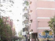 买一层送一层双露台,汇师+园南,自住诚出看房方便