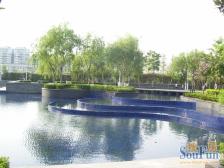 低楼层上下楼方便 双南2房,看房方便,诚心出售