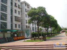 新上婚装房+双南全明户型+30万装修+6、12号线巨峰站口