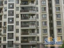 新装修未入住-高区视野开阔-看房方便