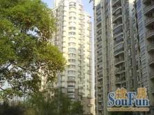 挑空客厅、视野采光好、使用空间大、钥匙房、看房随时