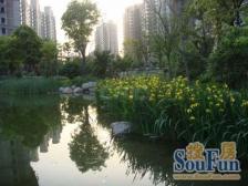 和欣国际花园5室南朝向2700.00万元/套出售