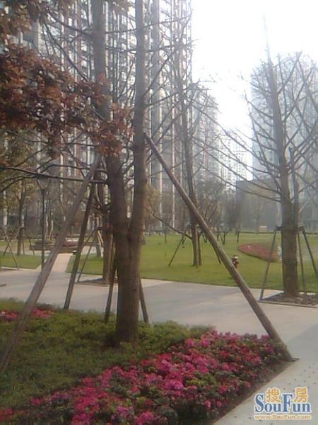 小区相关图