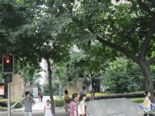 商圈房 出行便捷 户型方正 安静 居家舒适