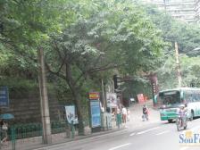 采光通透 业主诚心出售 户型方正 随时看房 房产证在手