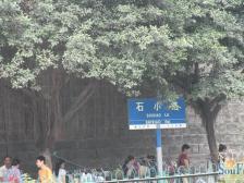 石小路(沙坪坝区) 1室1厅 东南