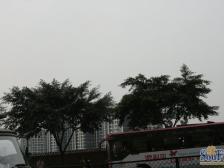 大坪 江湾国际花都一房52万